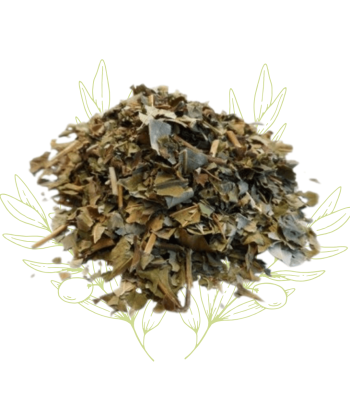 Frêne (feuilles sechées) –...