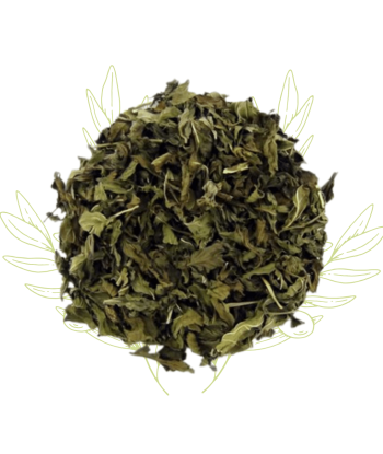 Menthe Poivrée (feuilles...