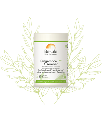 Gingembre – Be-Life - 90...