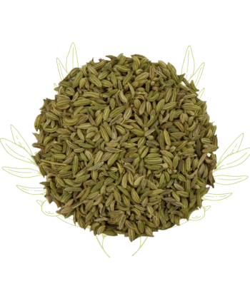 Fenouil doux (graines) -...