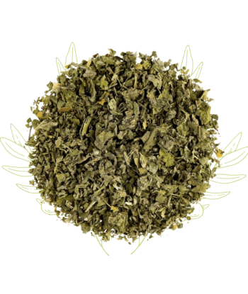 Guimauve (feuilles) -