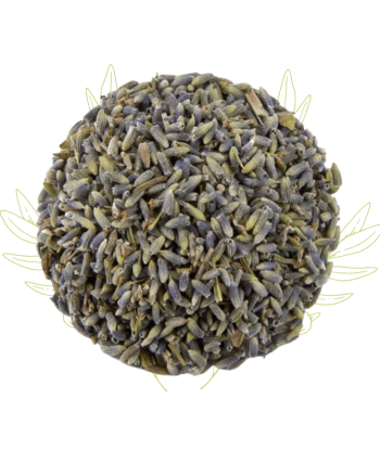 Lavande vraie (sèche) –...