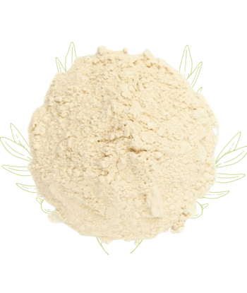 Maca (poudre) – Lepidium...
