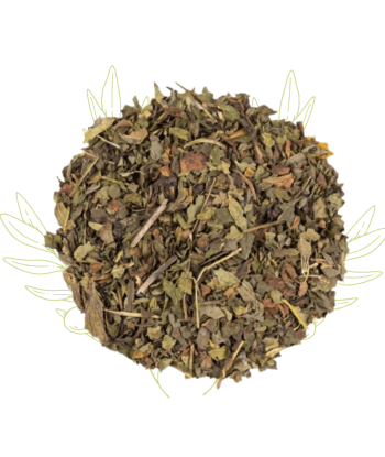 Mélisse (sèche) - Melissa...