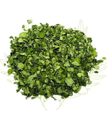 Moringa (feuilles sèches) -...