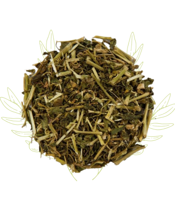 Passiflore - Passiflora...