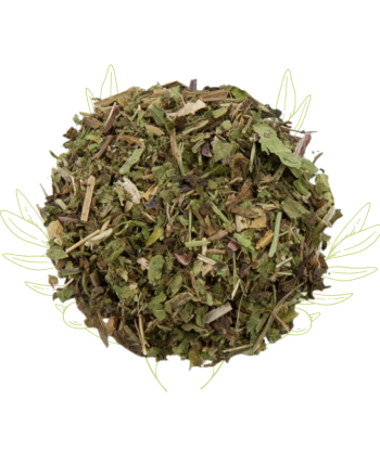 Pissenlit (feuilles...