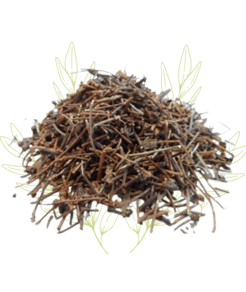 Queues de Cerises - Prunus...