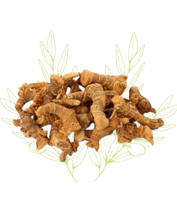 Galanga (racine sèche) -...