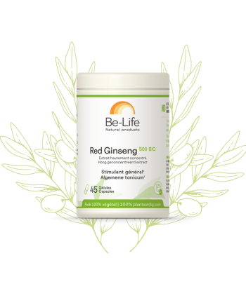 RED GINSENG