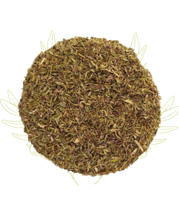 THYM -
