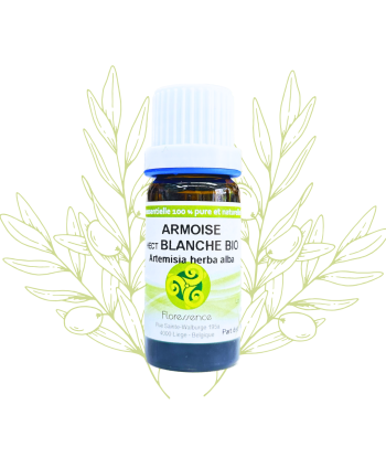 H.E. d'armoise blanche BIO...