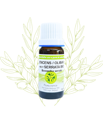 H.E. d'encens / oliban -...