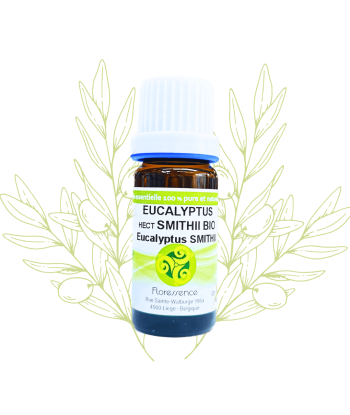 HE D'Eucalyptus smithii bio...
