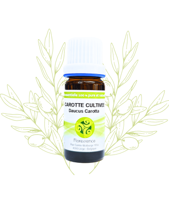 H.E. de carotte cultivée -...