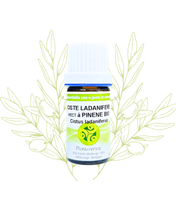 H.E. de ciste ladanifere...