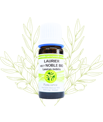 H.E. de Laurier Noble -...