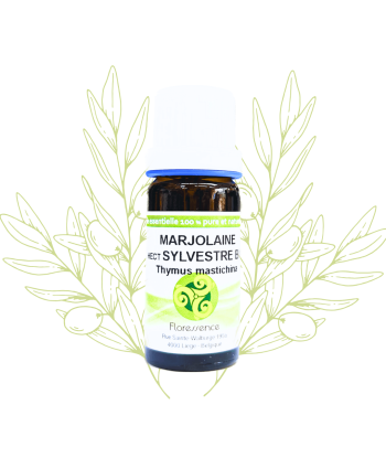 H.E. de Marjolaine des...