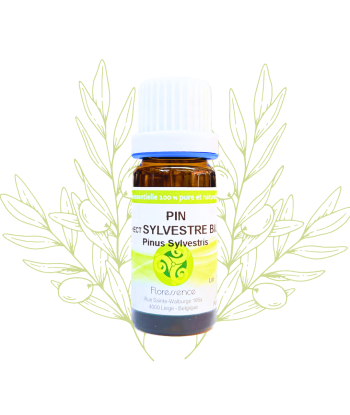 H.E. de pin sylvestre -...