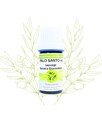 H.E. de Palo santo -...