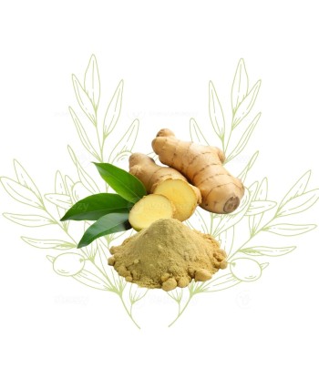 Gingembre (poudre) -...