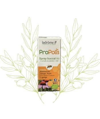 PROPOLIS SPRAY BUCCAL BIO