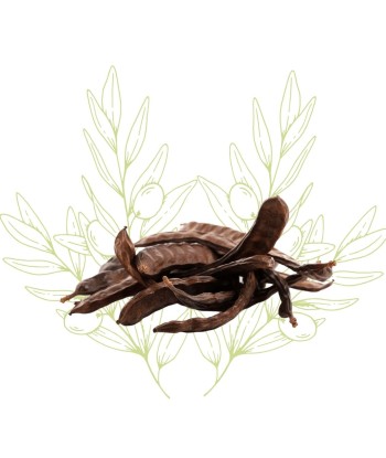 Caroube (Gousses entières)...