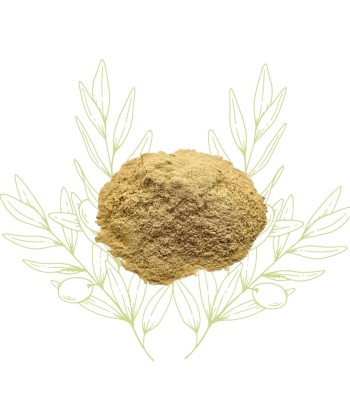 Ginseng (poudre) - Panax...