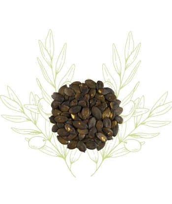 Pépins de Courge –...