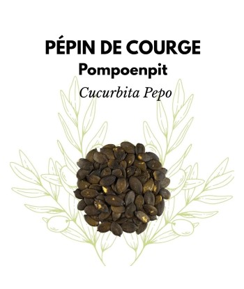 Pépins de Courge –...