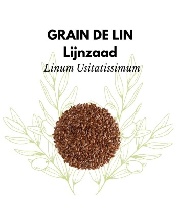 Graines de Lin – Source...