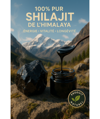 Shilajit de l’Himalaya –...