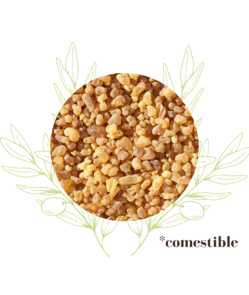 Oliban comestible – Résine...