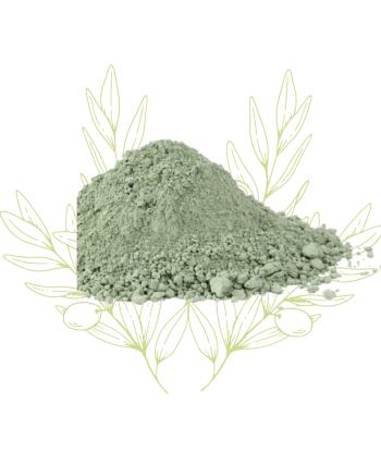 Argile Verte - Montmorillonite