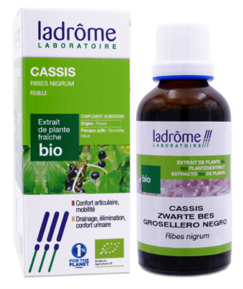 Extrait liquide de Cassis...