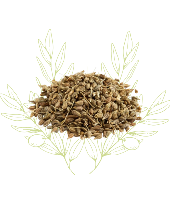 Anis vert (graine) -...