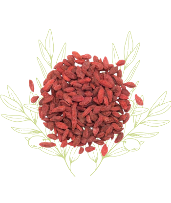 Baies de Goji (Lyciet) –...