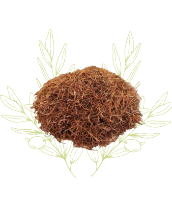 Barbe de maïs (stigmates) –...