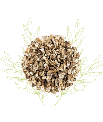 Bardane (racines) – Arctium...