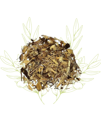 Réglisse (racine) -...