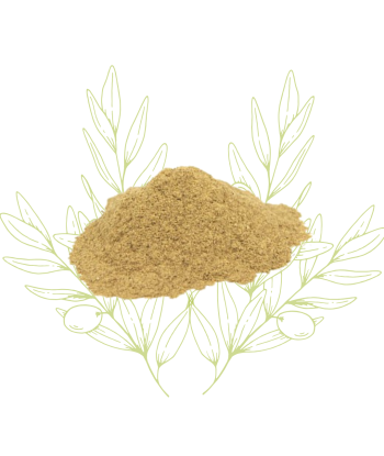 Réglisse (poudre) –...