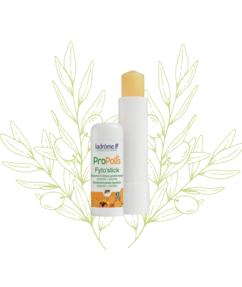 Baume à lèvres à la...