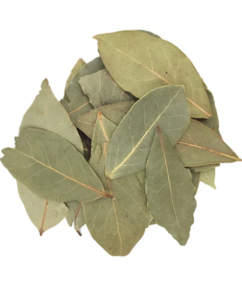 FEUILLES DE LAURIER