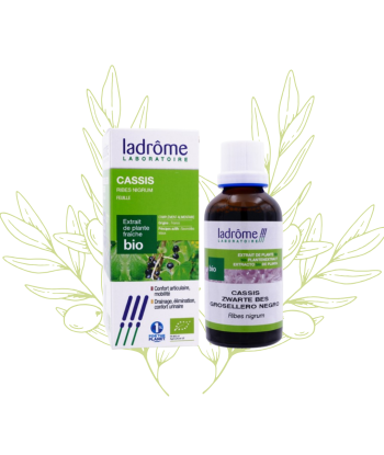 Cassis BIO (extrait...