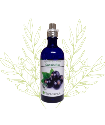 Hydrolat de Cassis (eau...