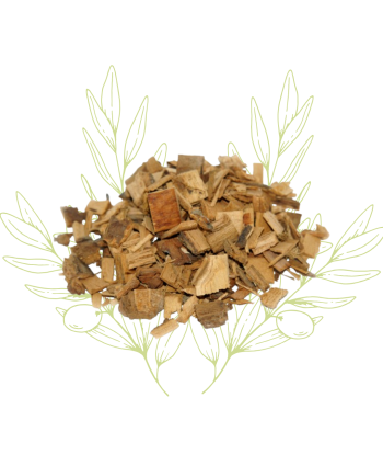 Tilleul (aubier) - Tilia...