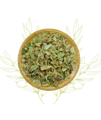 Tilleul argenté (feuilles)...