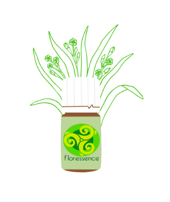 H.E. de palmarosa BIO -...