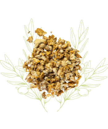 Bouillon blanc (molène) -...