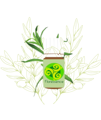 H.E. d'estragon BIO -...